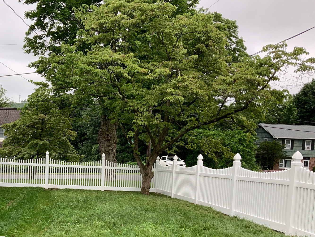 Go Green with these NY Eco-Friendly Fence