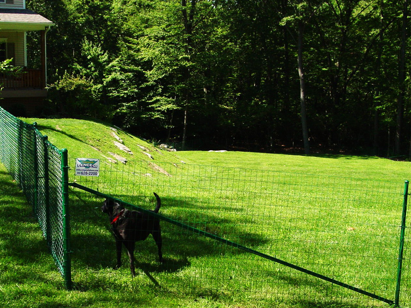 How To Choose The Perfect Fence For Your Dog in Mahopac N