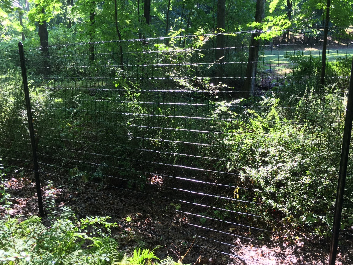 Chain Link fence - Chain Link Deer Fence style