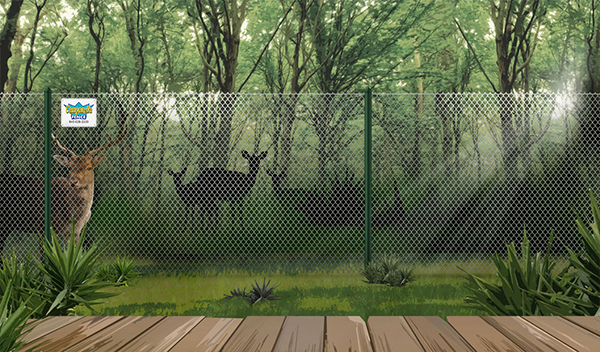 Chain Link fence - deer fence