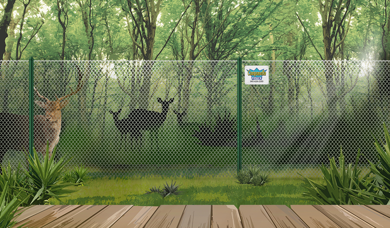 Chain Link fence - deer fence