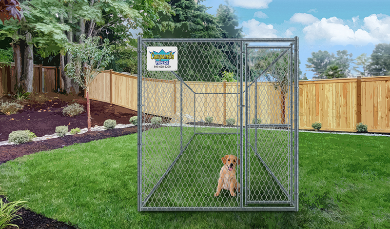 Chain Link fence - dog kennels