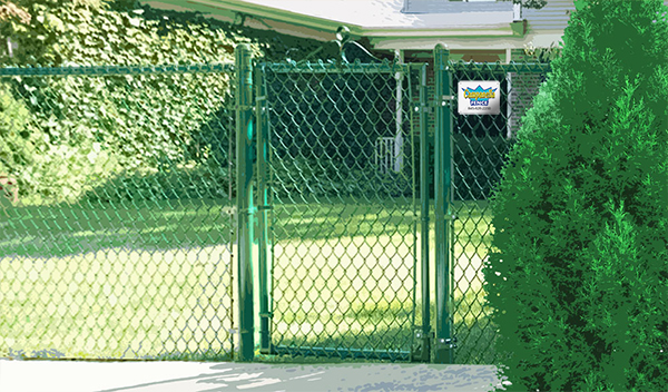 Chain Link fence - green chain link