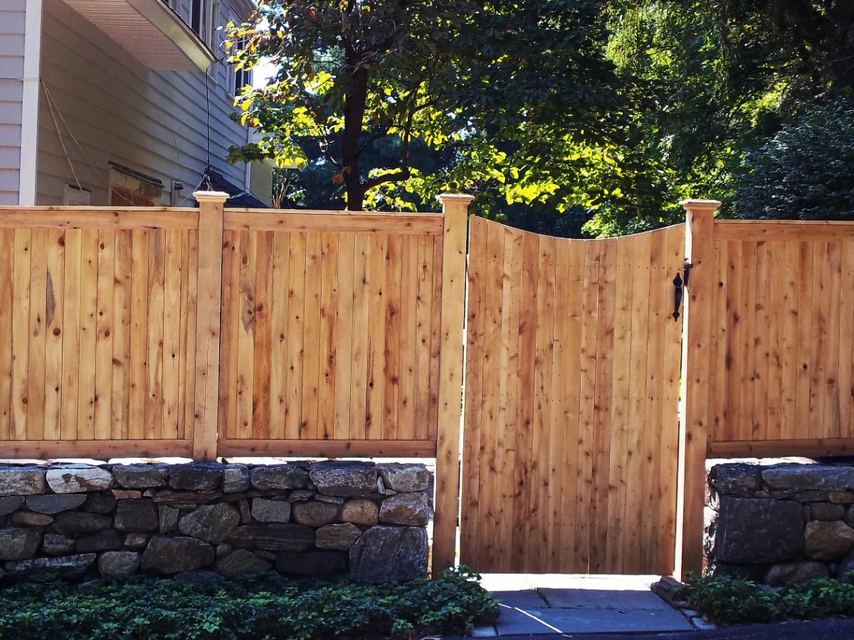 wood fence - Cedar tongue and groove style
