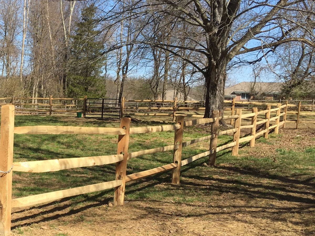 wood fence - Locust Split Rail style