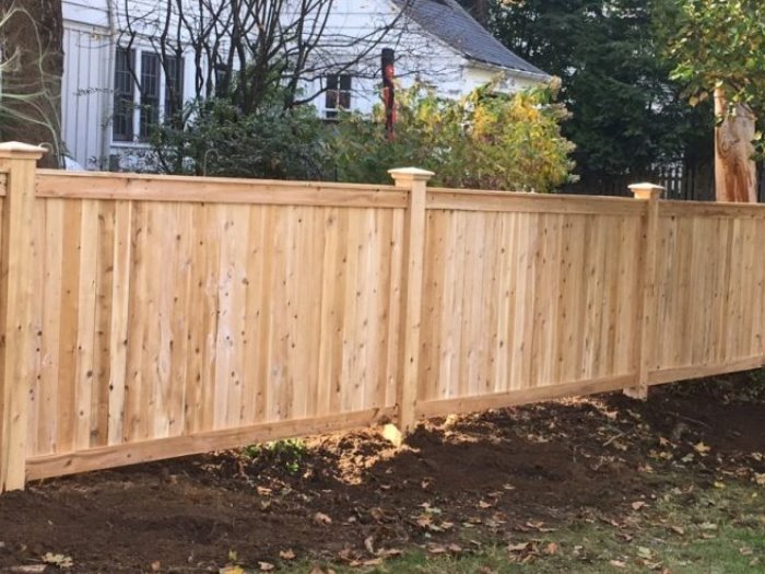 wood fence - Cedar tongue and groove style